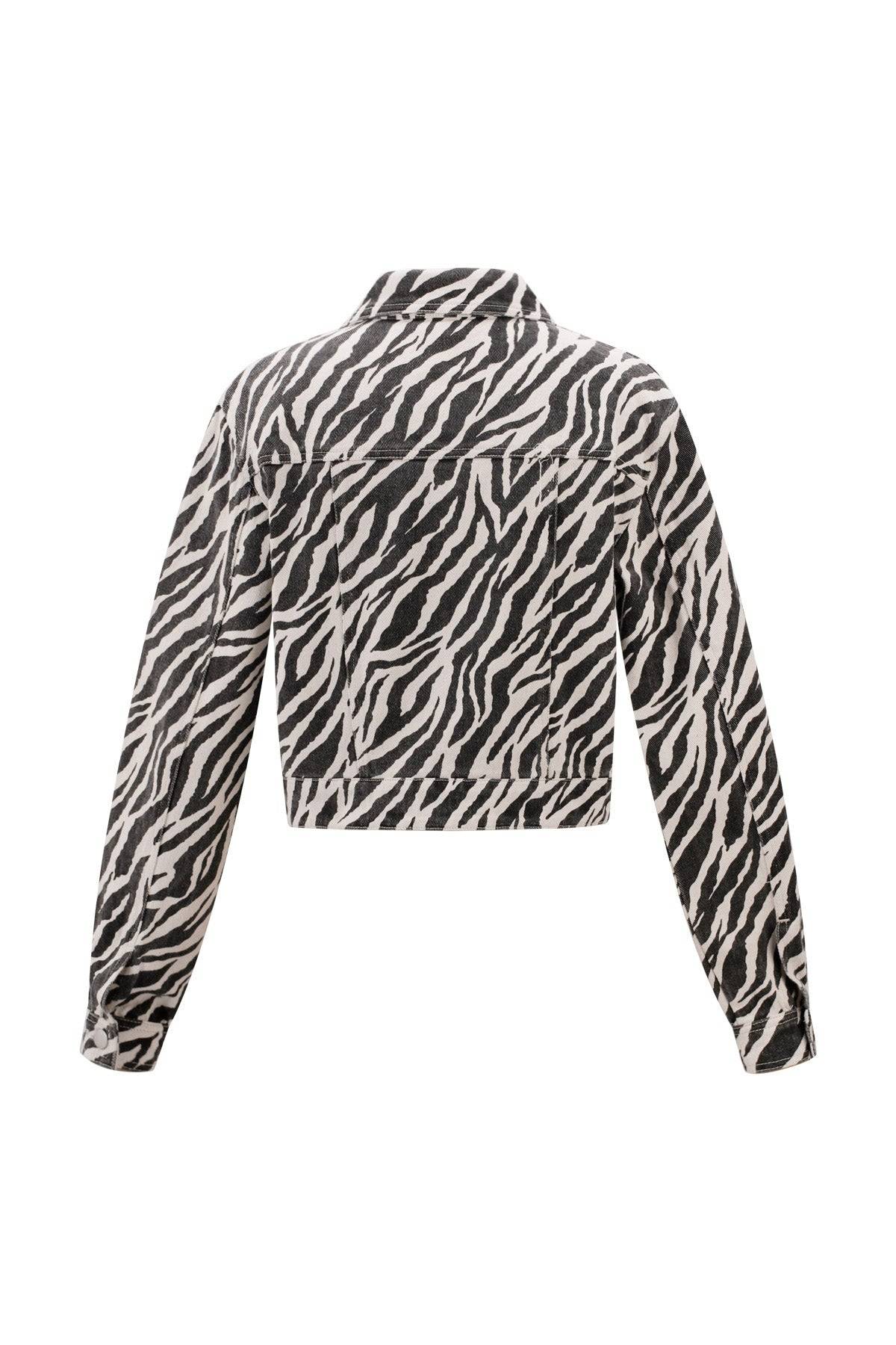 The Zebra Jacket