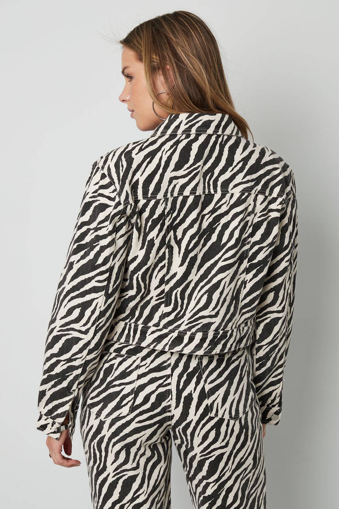 The Zebra Jacket