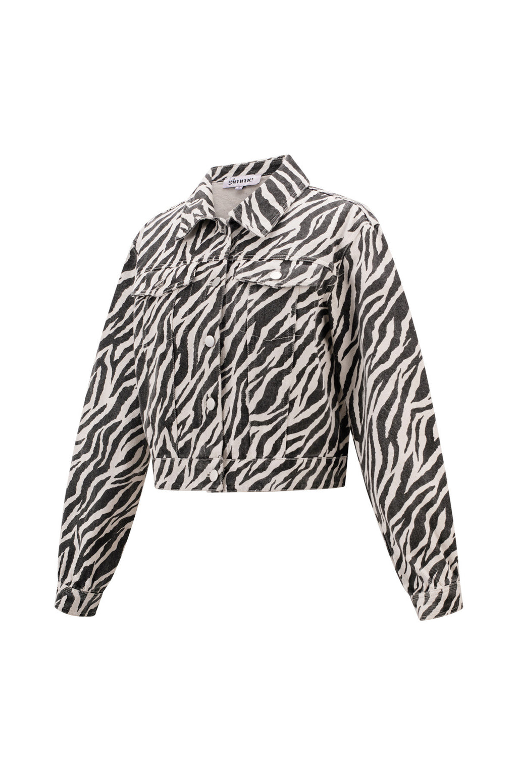 The Zebra Jacket