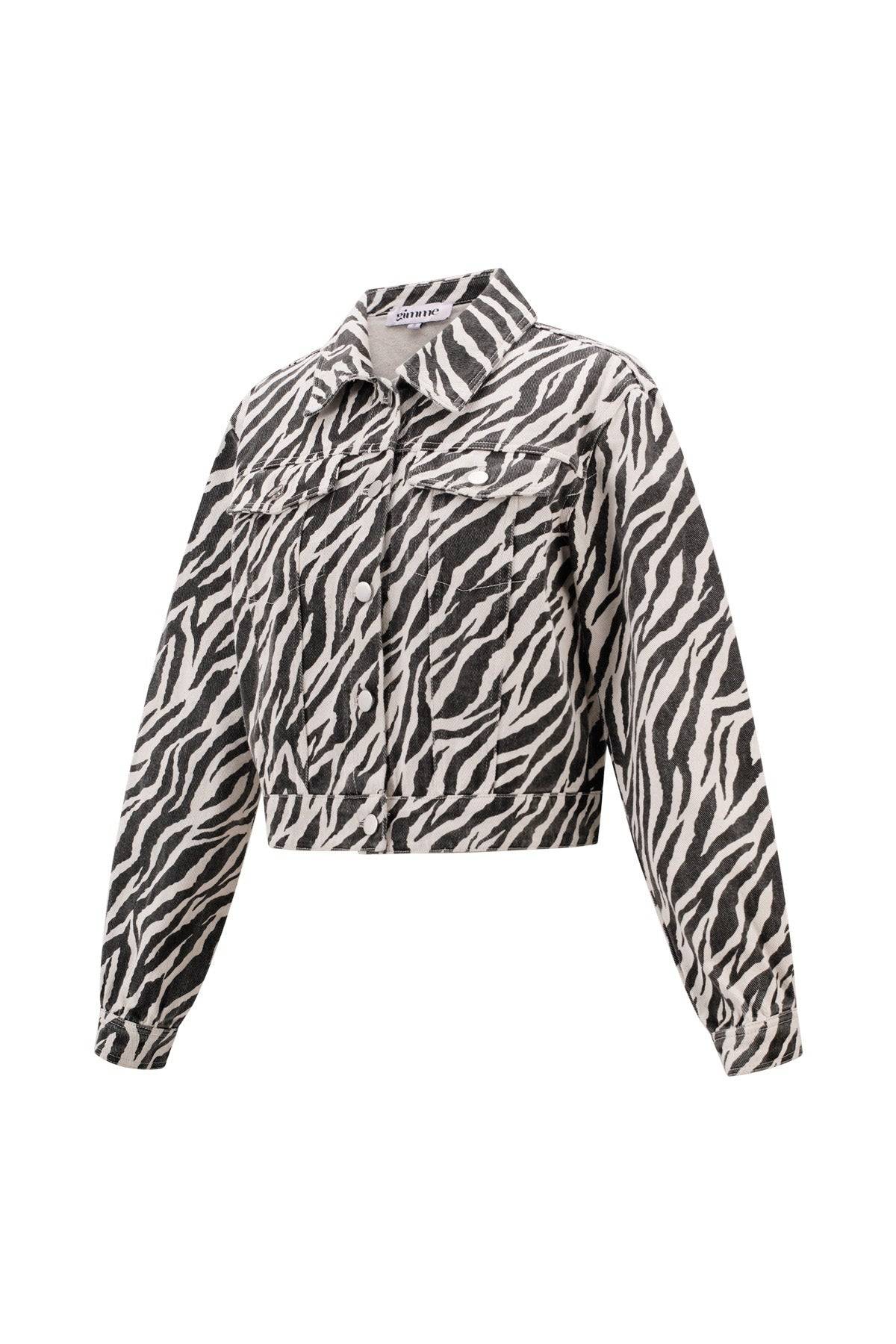 The Zebra Jacket