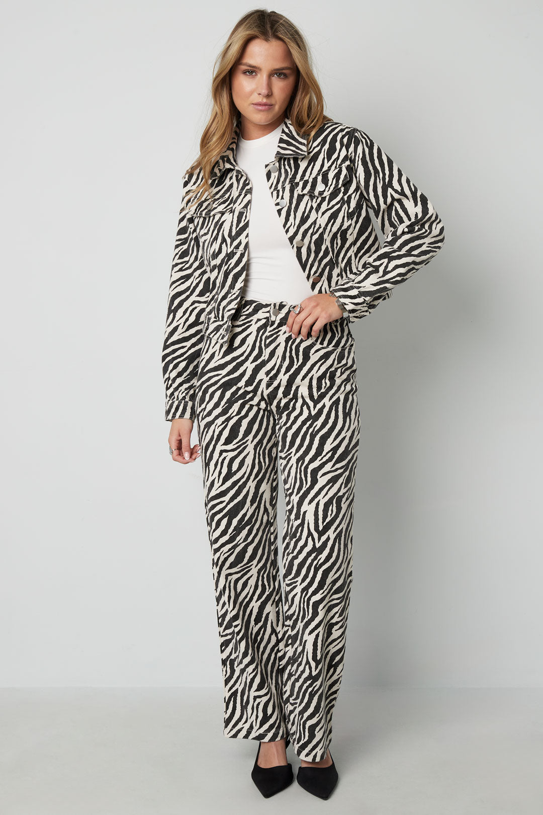 The Zebra Jacket