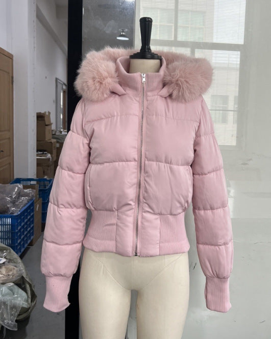 Hooded Cotton Jacket