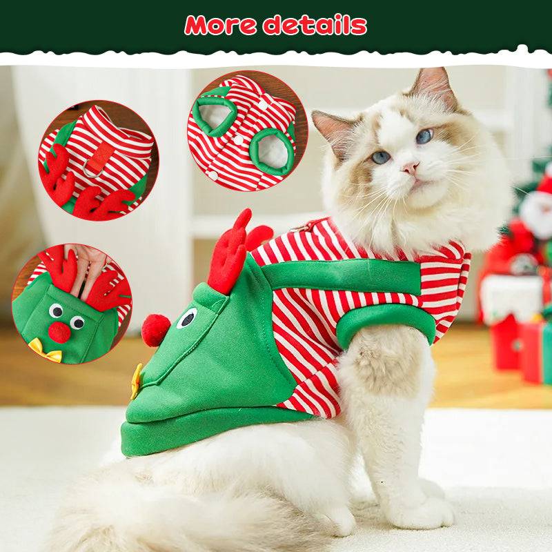 Joyful Christmas Coats & Santa Suits for  Cats | Cute Cosplay