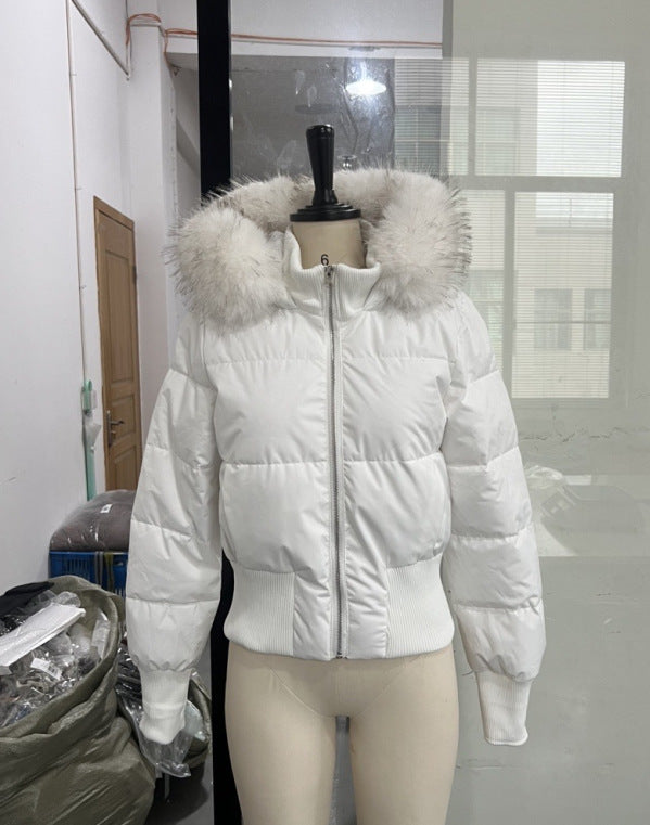 Hooded Cotton Jacket
